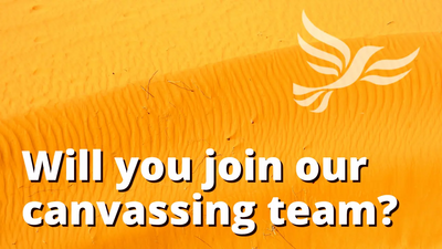 Spelthorne Liberal Democrats Will You Help Canvassing Canvas