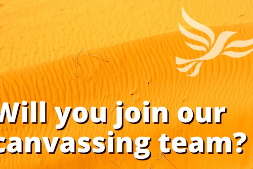 Spelthorne Liberal Democrats Will You Help Canvassing Canvas